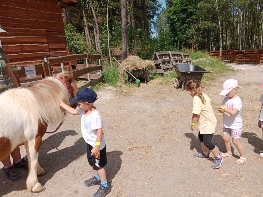 IMG_20240626_110452