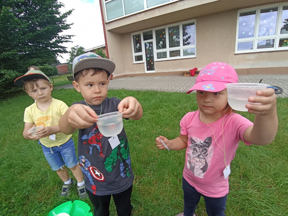 IMG_20240605_103911